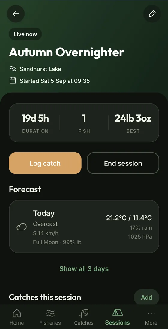 A live overnight session with forecast